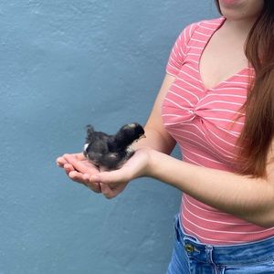 Meet your Posher, Emily